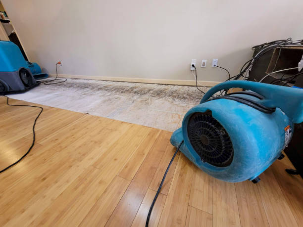 Professional Burst Pipe Water Damage technician working in Milford, OH